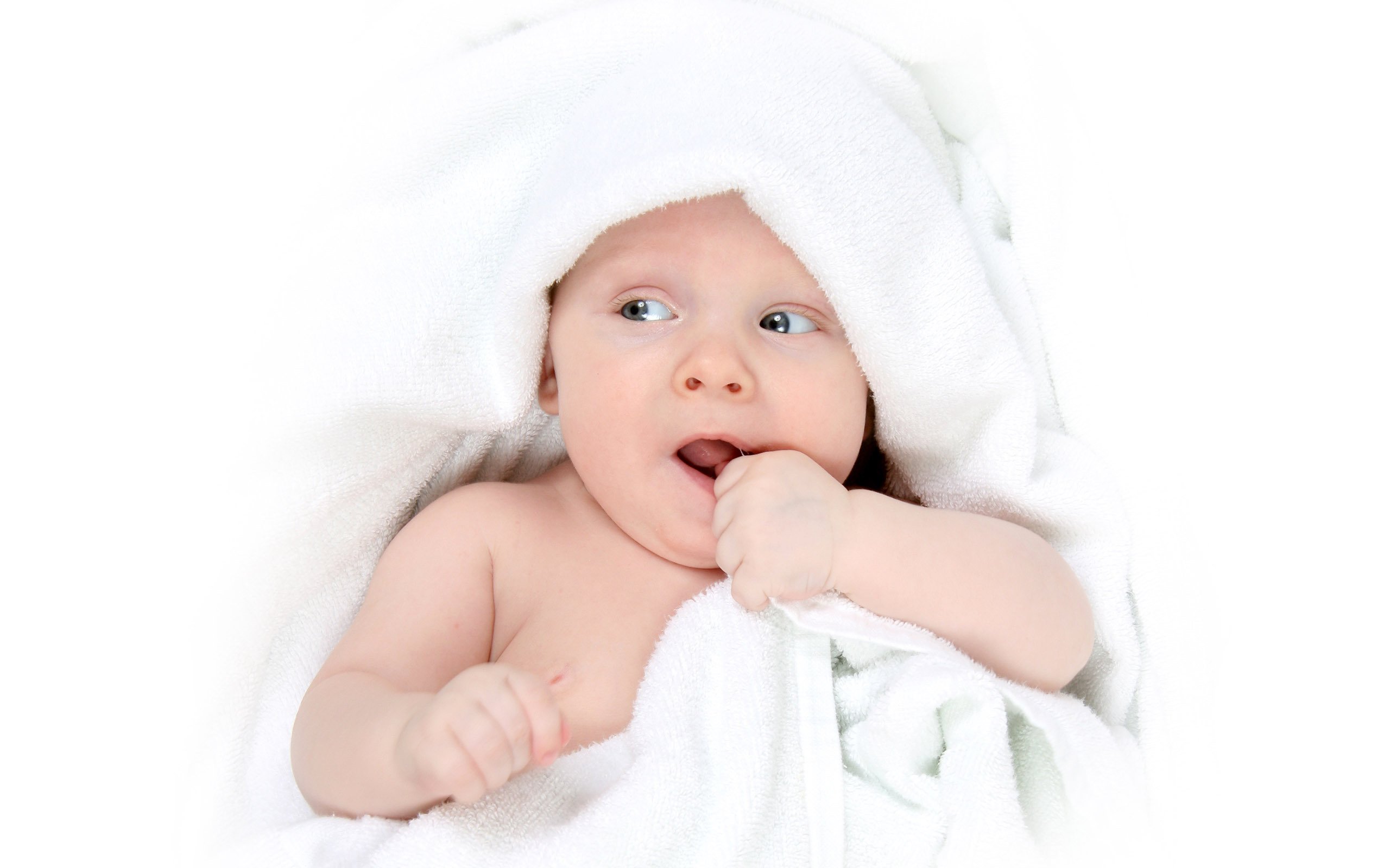 合肥正规借卵试管婴儿一般几次成功